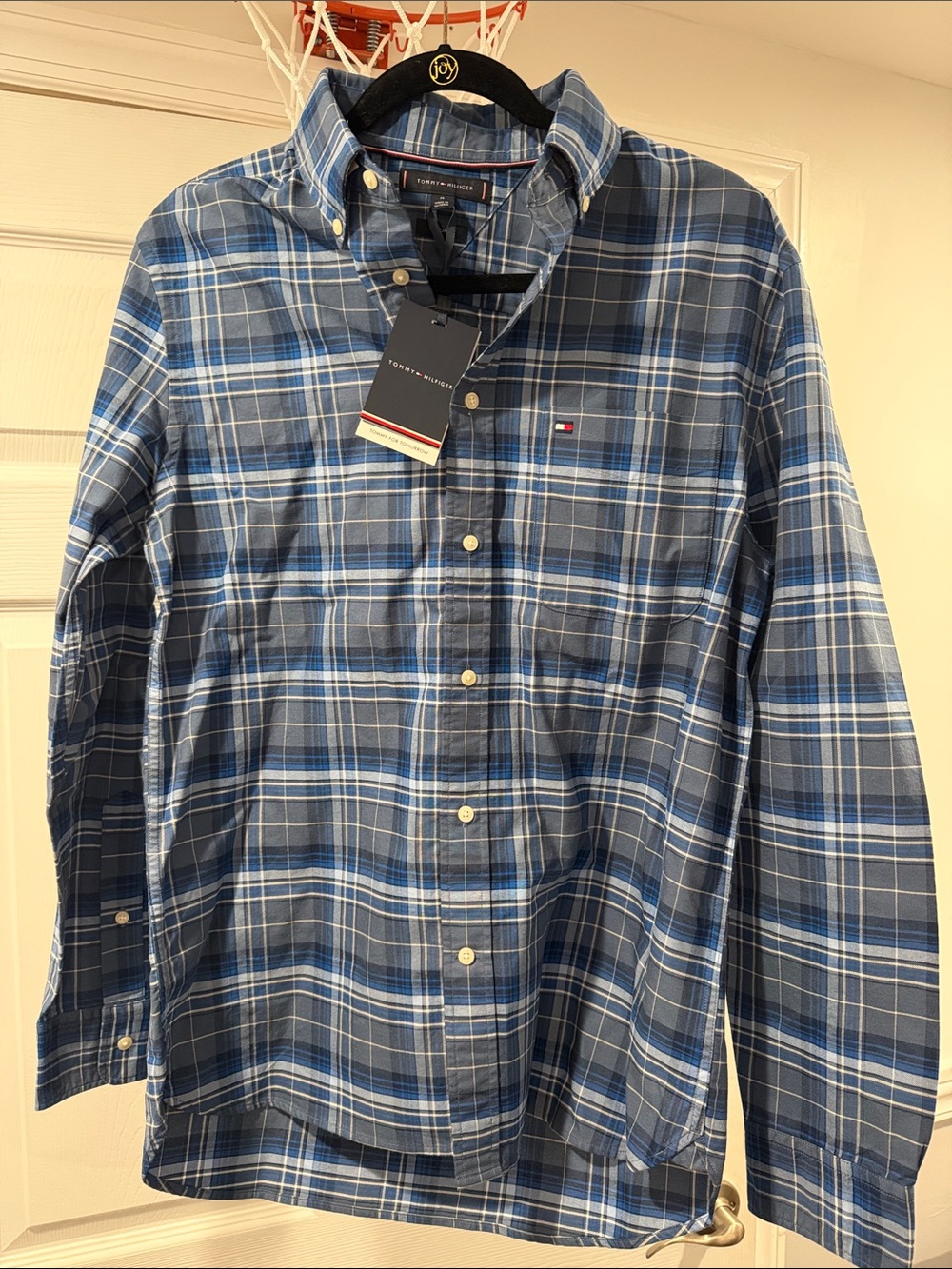Tommy Hilfiger Blue and White Plaid Button-Down Shirt
